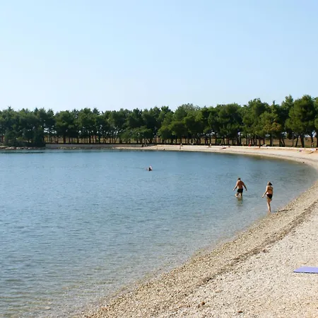 And With A Swimming Pool Novigrad - 6951 בית הארחה