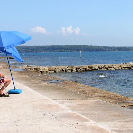בית הארחה And With A Swimming Pool Novigrad - 6951 3*