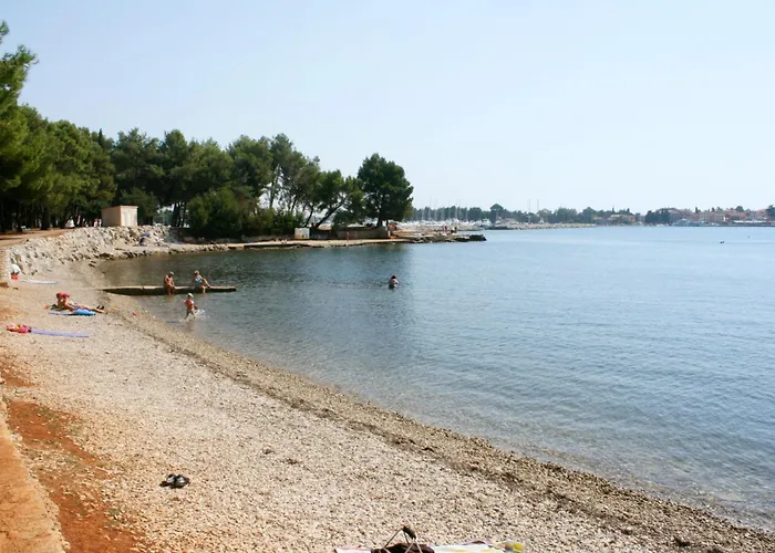 And With A Swimming Pool Novigrad - 6951 Konukevi 3*