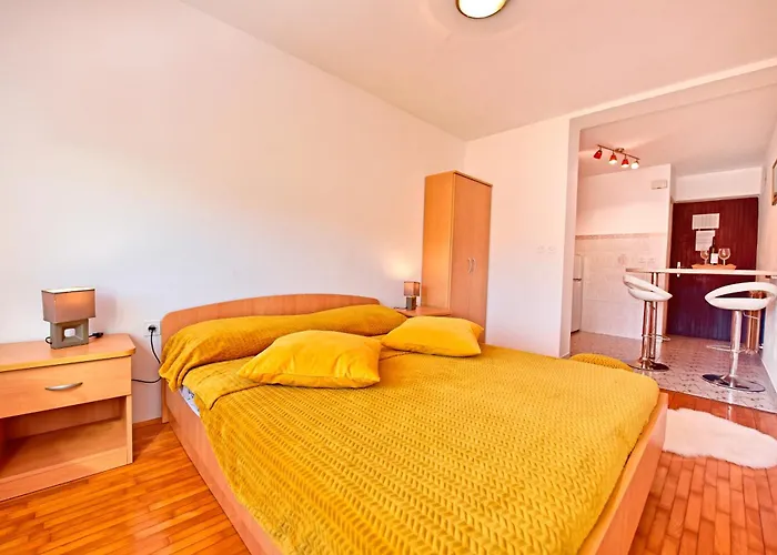 Konukevi And With A Swimming Pool Novigrad - 6951