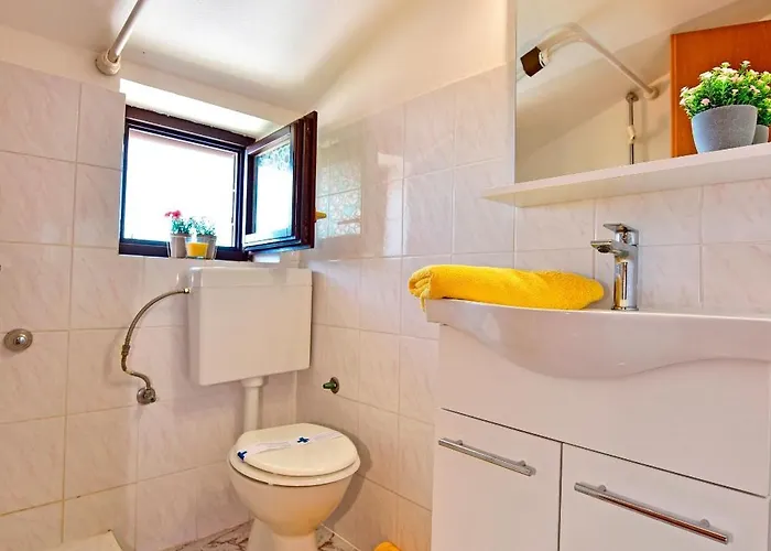 Konukevi And With A Swimming Pool Novigrad - 6951